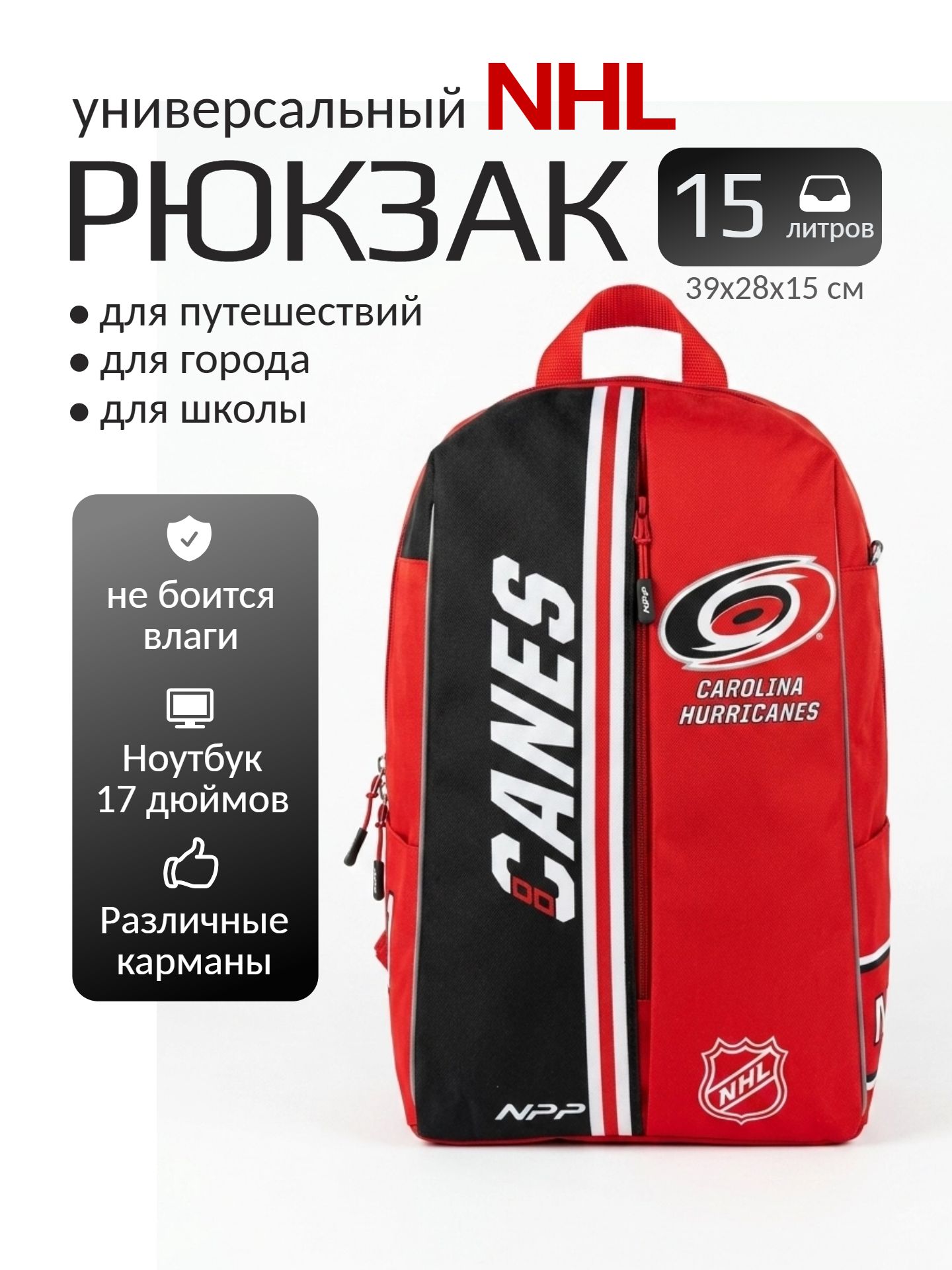 Infographics_24ai.tech (41) Рюкзак городской/школьный «Каролина Харрикейнз» (англ. Carolina Hurricanes) — изображение 1