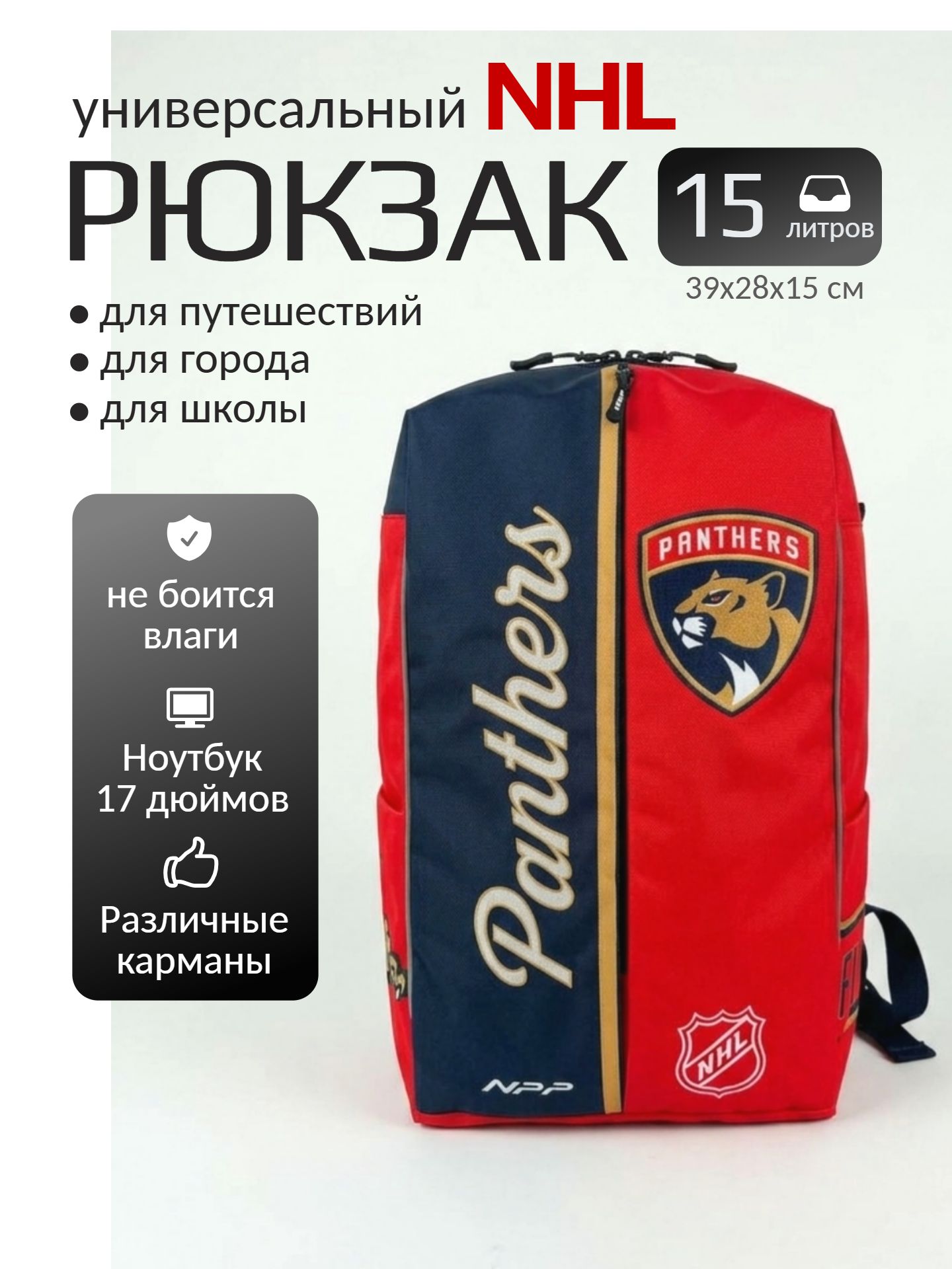 Infographics_24ai.tech (45) Рюкзак городской/школьный «Флорида Пантерз» (англ. Florida Panthers) — изображение 1